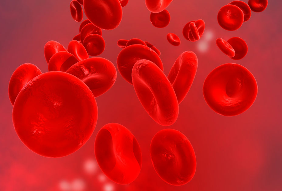 red blood cells CDC